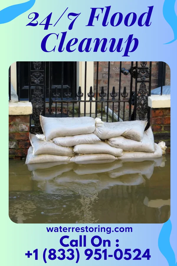 24/7 Flood Cleanup in Easton, MN