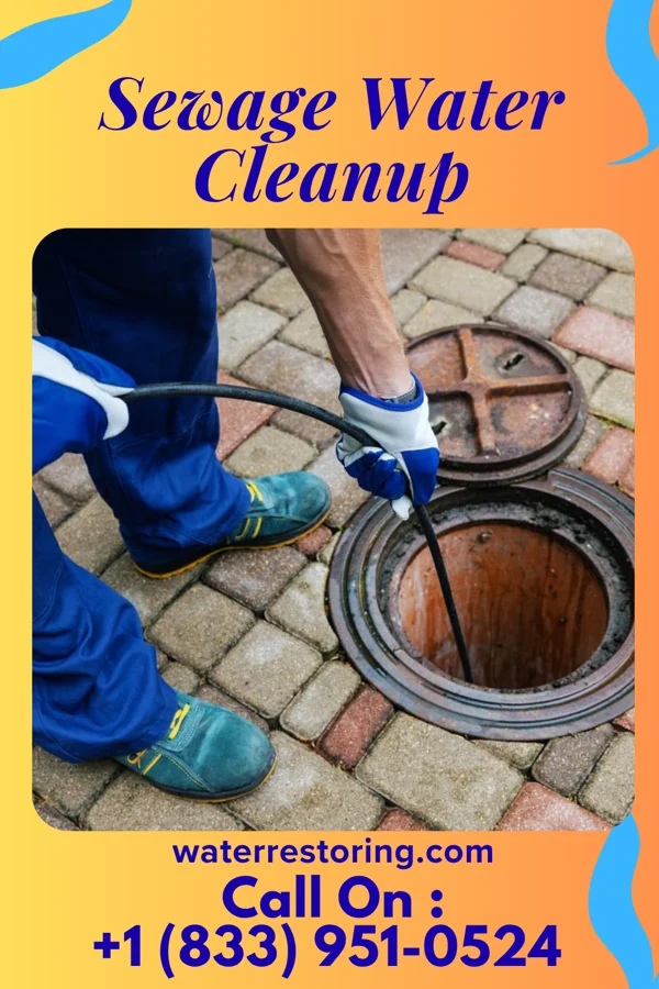 Sewage Water Cleanup in Easton, MN